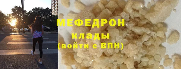 гашик Богданович