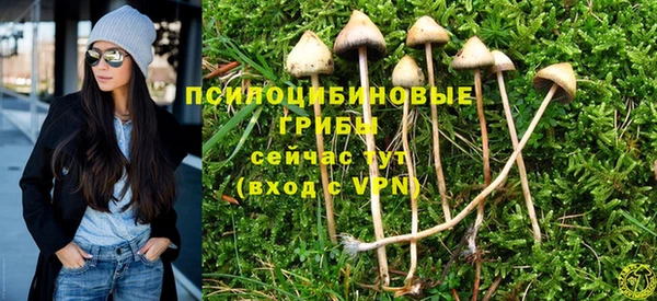 гашиш Богородск