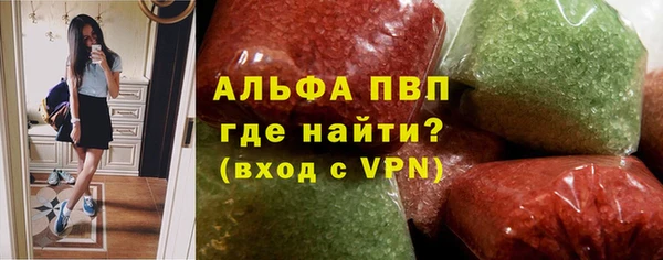 гашик Богданович