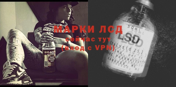 MESCALINE Бородино